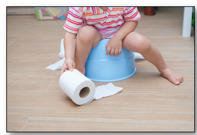 Close up of little boy's legs sitting on potty chair, holding a roll of toilet paper